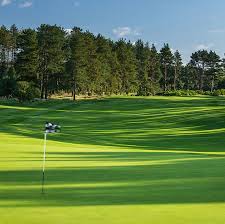 Image result for Forfar Golf Club