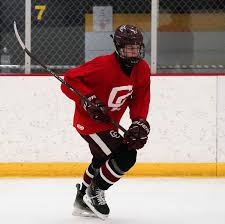 Image result for Carlisle Hockey Club