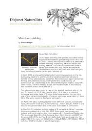 Attēlu rezultāti vaicājumam “Licea minima sessile”