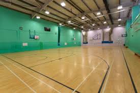 Image result for Icarus Badminton Club