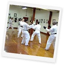 Image result for Everitt Karate Academy