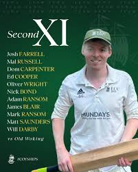 Image result for Effingham Cricket Club