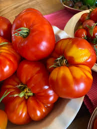 Afbeeldingsresultaat voor marmande jaune tomato