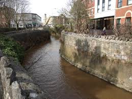 Image result for Newton Abbott Knights