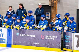 Image result for Sheffield Scimitars