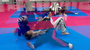 Image result for Universal Judo Academies