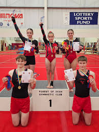 Image result for Fromeside Gymnastics Club (1987) Limited