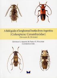 Attēlu rezultāti vaicājumam “Cerambycidae”