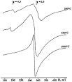 Influence of the silica based matrix on the formation of iron ...