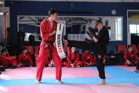 Image result for middlesbrough karate academy
