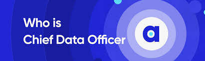 Who is a Chief Data Officer & What Can They Do for You?