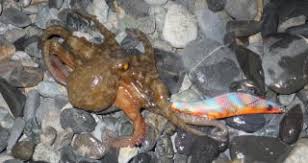 Image result for 201205.html#201205031