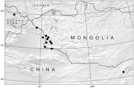 Attēlu rezultāti vaicājumam “Silene wolgensis”