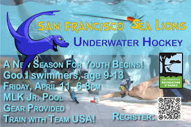 Image result for FXU Underwater Hockey