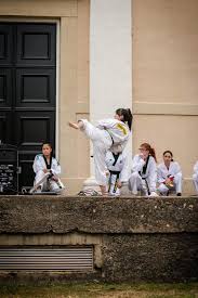 Image result for Invertay Taekwondo Club