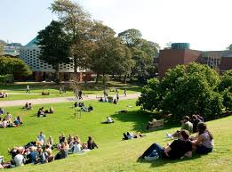 Image result for University Of Sussex