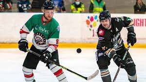 Image result for Basingstoke Bison Ice Hockey Club