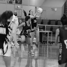 Image result for Falcons Netball Club