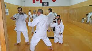 Image result for Kensei Karate Dojo