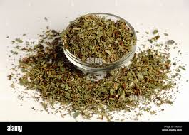 Attēlu rezultāti vaicājumam “Veronica officinalis fruit”