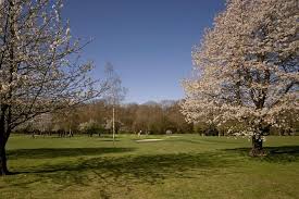 Image result for Alresford Golf Club
