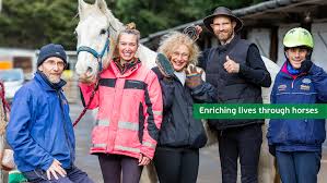 Image result for Riding For The Disabled Association