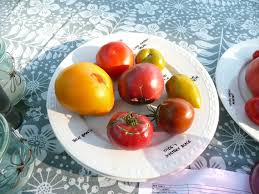 Afbeeldingsresultaat voor grubbs mystery green tomato