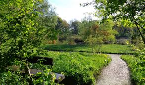 Image result for Heemtuin Rucphen