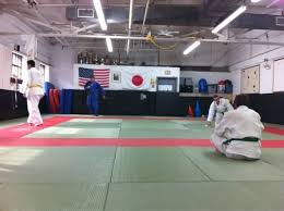 Image result for Redbridge Judo Club