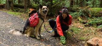 Image result for *X68CHer|http://www.bcpark.net/bbs/317697