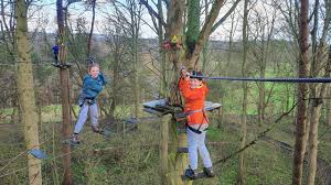 Image result for Go Ape! Leeds Castle