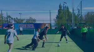 Image result for Goals Soccer Centre