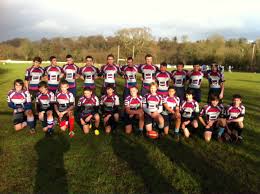 Image result for Cardiff Harlequins