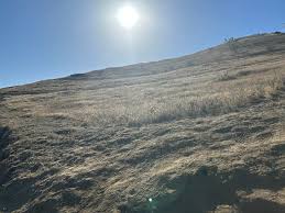 Image result for Cloth Of Gold Field Archery Club