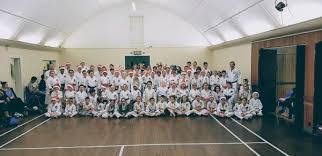 Image result for ZOKU SHOTOKAN KARATE (Baldock)