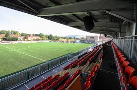 Image result for Dorking Wanderers F C