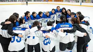 Image result for Ice Hockey International