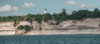 Image result for stevns klint