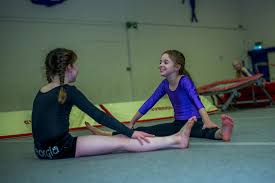 Image result for Tamworth Olympic Gymnastics Club