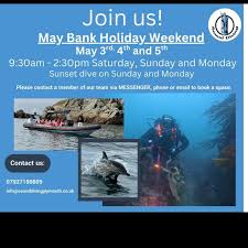 Image result for Plymouth Aquanauts