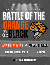 Image result for Rayleigh boys under 7's Leopards- need a Goalie!