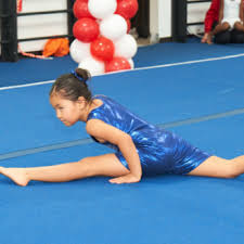 Image result for L&G Acrobatic Gymnastics Club