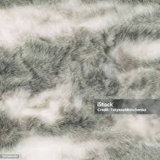 Image result for white rabbit skin texture