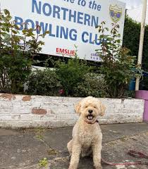 Image result for Leith Bowling Club