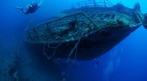 Image result for Canary Divers