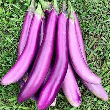Afbeeldingsresultaat voor fengyuan purple eggplant