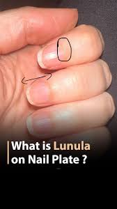 Image result for lunula nail
