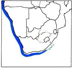 Image result for Raja straeleni