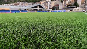 Image result for Sudbury Tchoukball Club