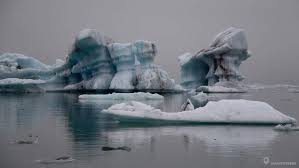 Image result for Ildblomkarse